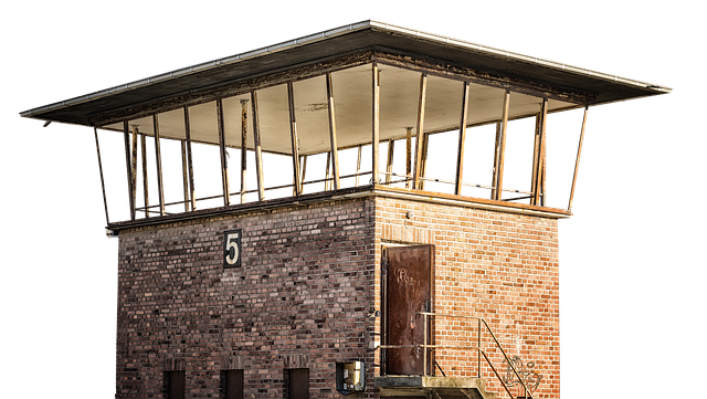 Denver Rodent Control: Protect Your Roof with Vent Guards