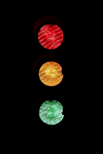 Wildlife Control