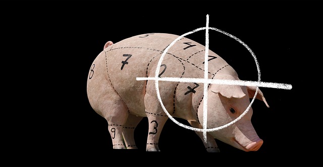 wildlife-control-640x480-85356586.jpeg