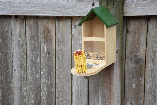 Wildlife Management