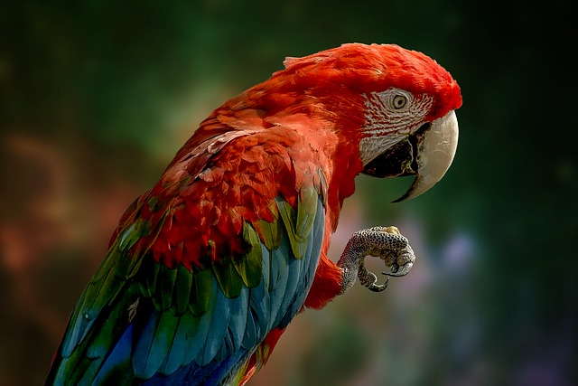 wildlife-management-640x480-47588665.jpeg