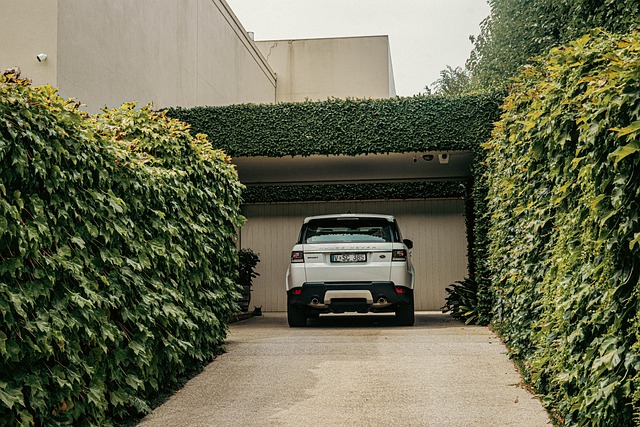 Concrete Driveway