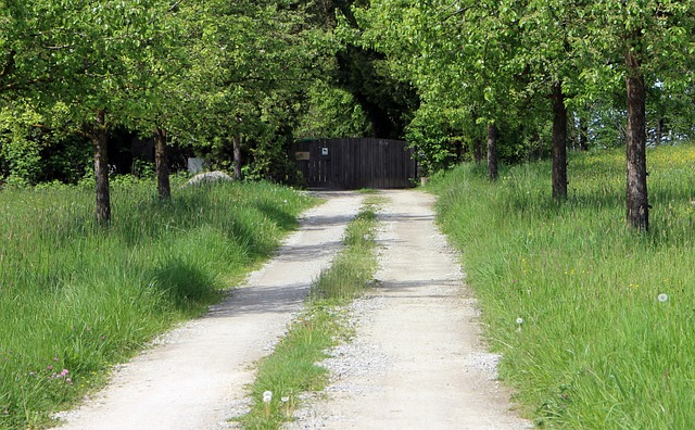 concrete-driveway-640x480-50250718.jpeg