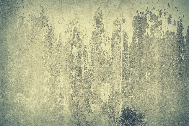 Concrete Driveway