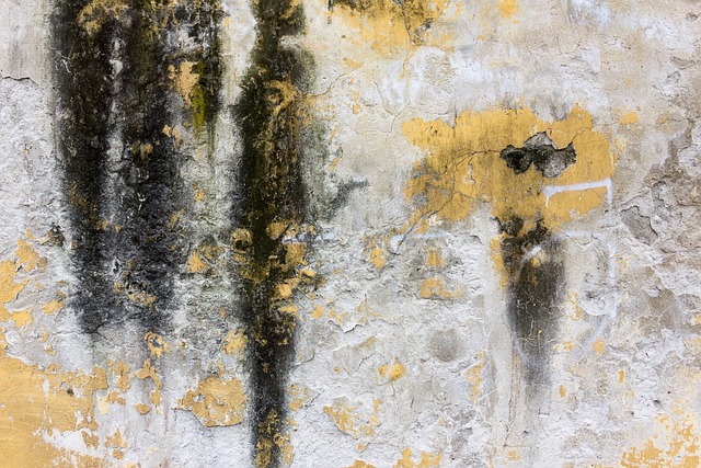 Concrete Driveway