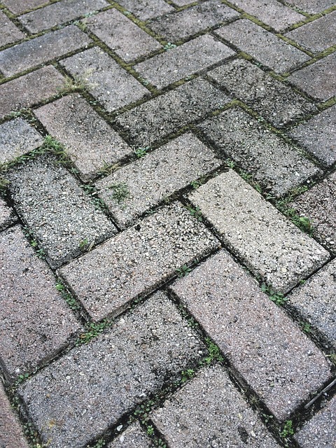 Concrete Driveway
