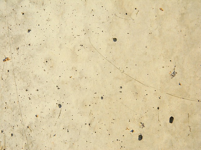 Concrete Patio