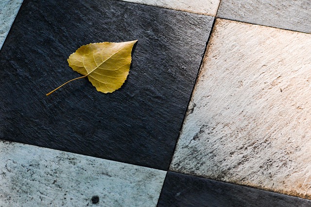 Concrete Patio