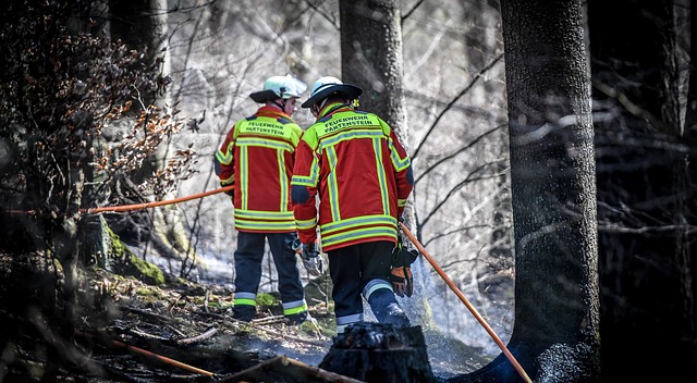 Restoring Your Boerne Home After a Fire: Texas Guide