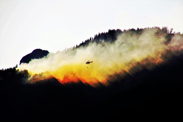 Fire Restoration