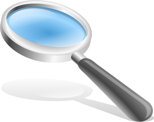 Schertz: DIY vs. Professional Mold Testing for Peace of Mind