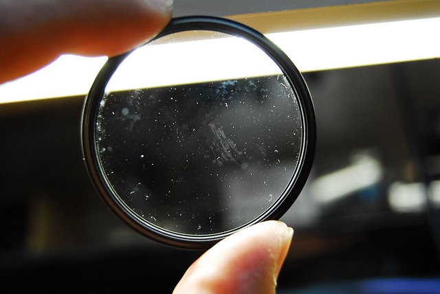 Schertz: DIY vs Professional Bathroom Mold Testing &amp; Remediation