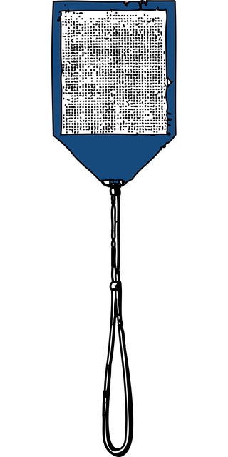 pest-control-640x480-21381432.png