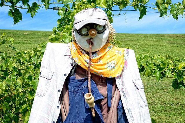 pest-control-640x480-31916842.jpeg