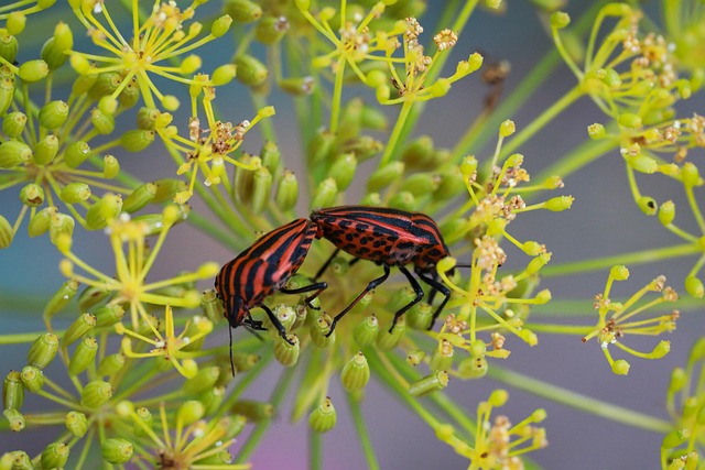 Pest Monitoring