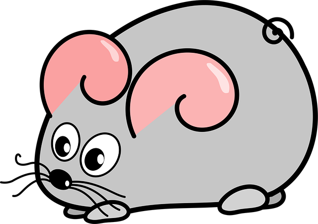Rodent Control