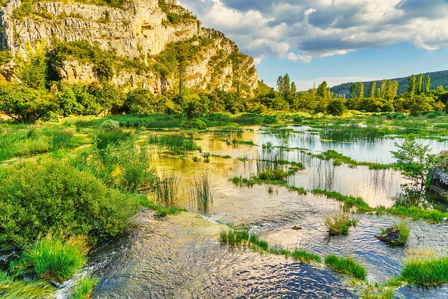 Water Mitigation in Texas: Insurance Coverage &amp; Response Strategies