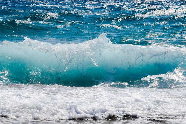Restoring Your Home: San Antonio's Top Water Damage Experts