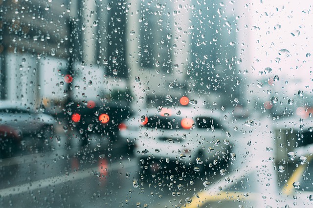 Flooded Garage Cleanup: Salvage Flooring in New Braunfels