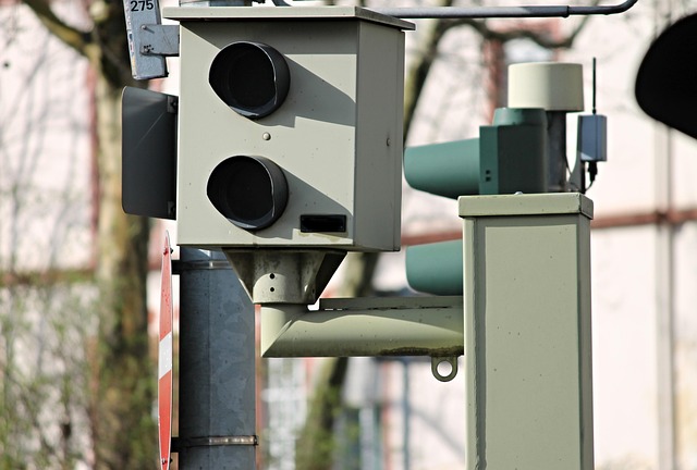 Denver Wildlife Trapping: Preventive Maintenance for Effective Control